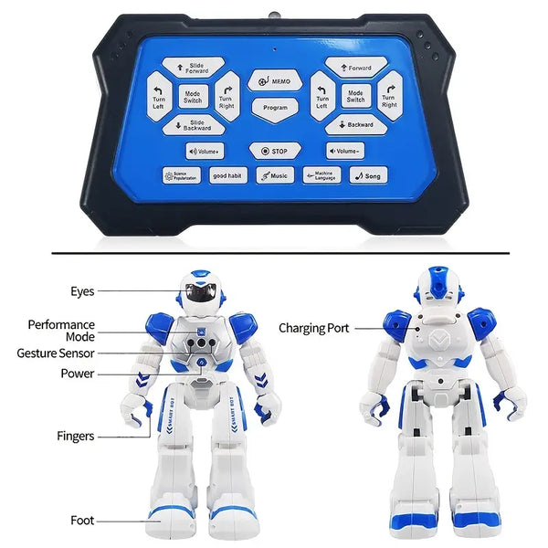 Remote Control Programmable Robot