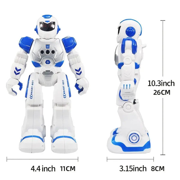 Remote Control Programmable Robot