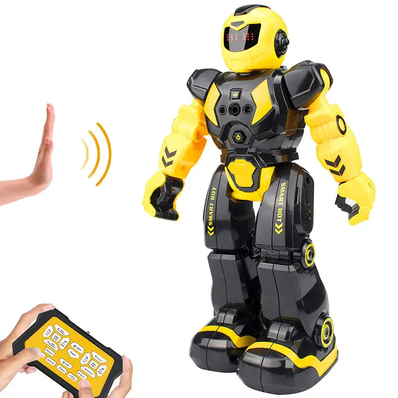 Remote Control Programmable Robot