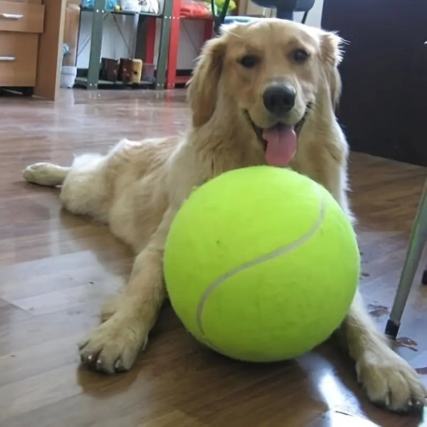 interactive-dog-toy-tennis-ball.jpg