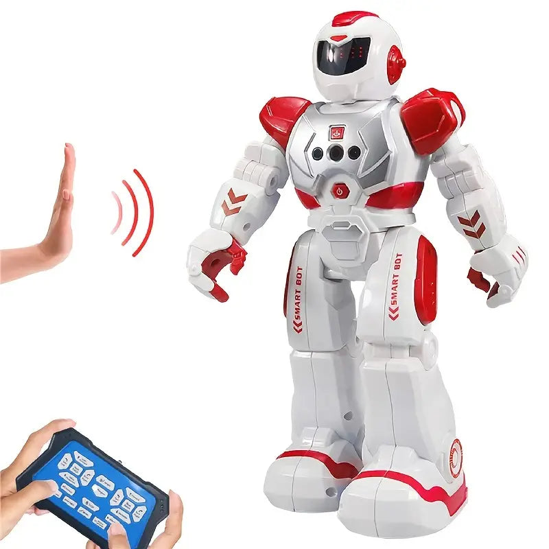 Remote Control Programmable Robot