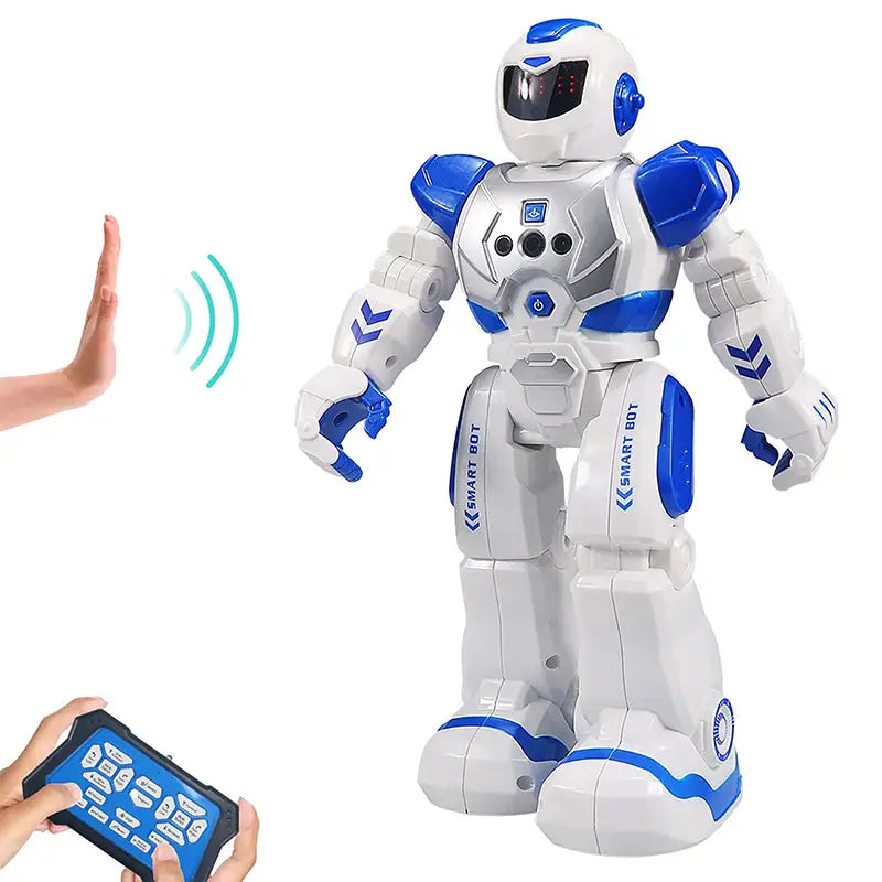 Remote Control Programmable Robot